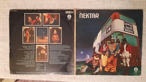 Nektar 14 Down to earth