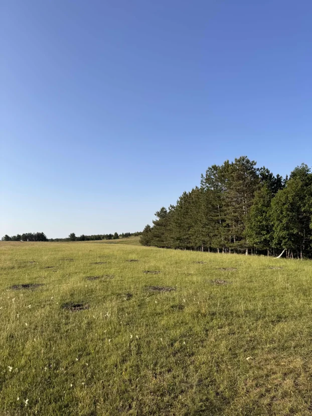 Druzetici, Gornji Milanovac, Družetići