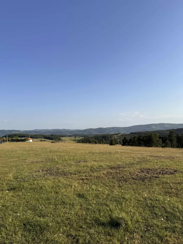 Druzetici, Gornji Milanovac, Družetići