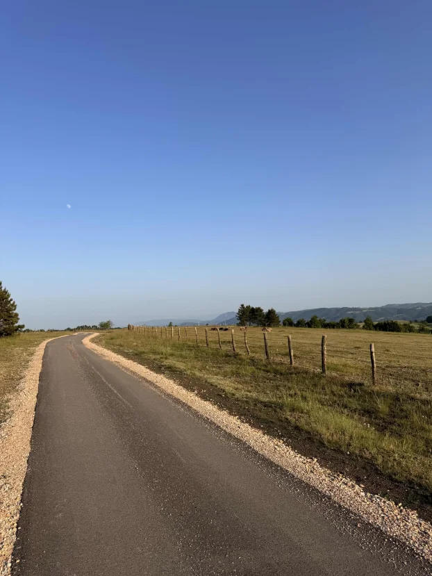 Druzetici, Gornji Milanovac, Družetići