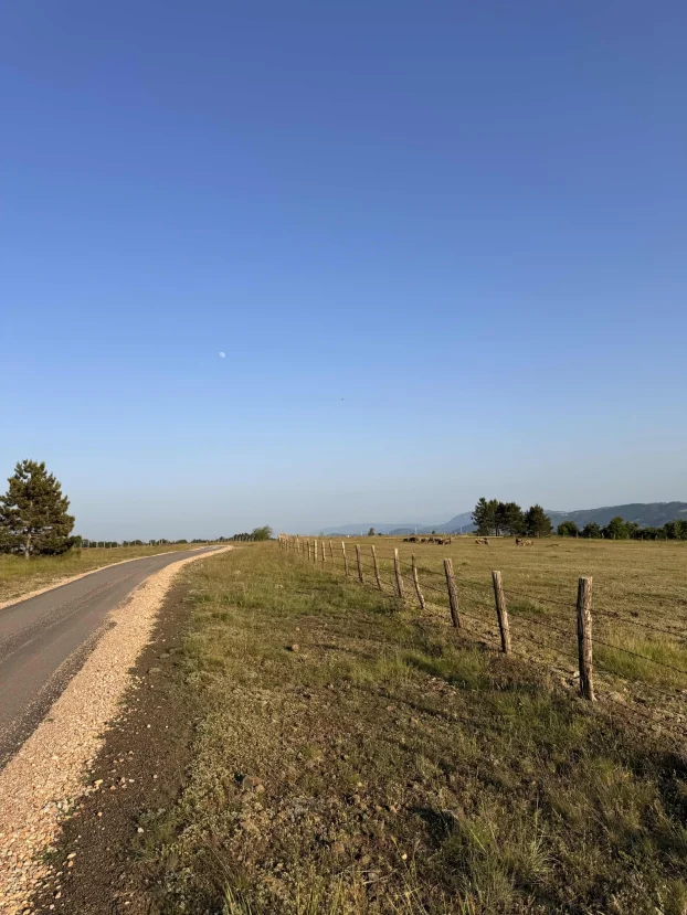 Druzetici, Gornji Milanovac, Družetići