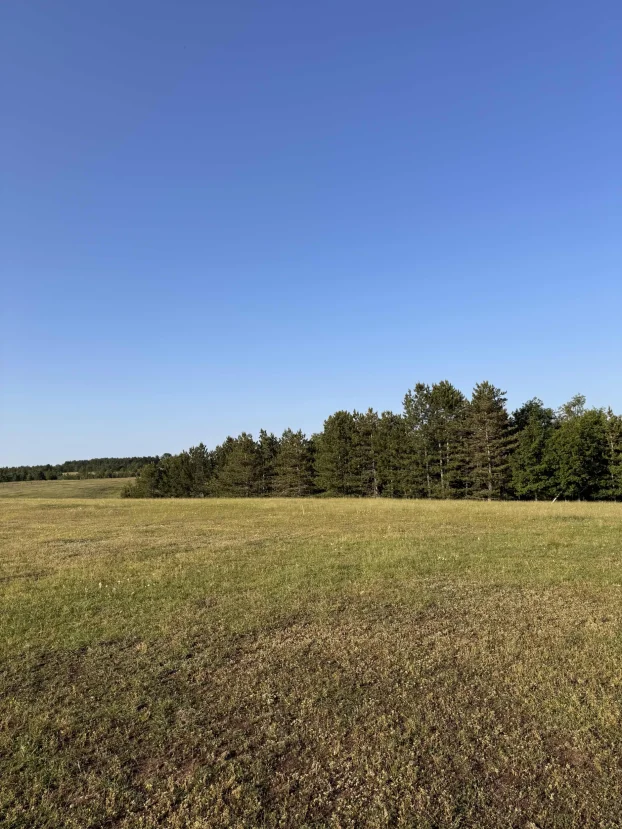 Druzetici, Gornji Milanovac, Družetići