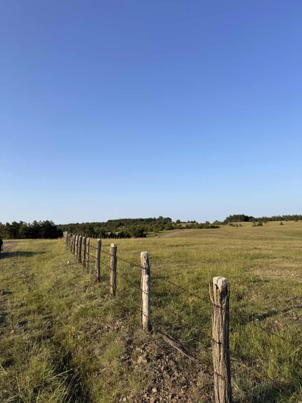 Druzetici, Gornji Milanovac, Družetići