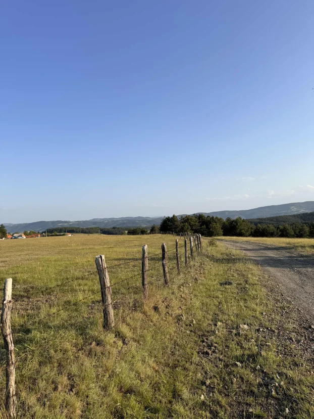 Druzetici, Gornji Milanovac, Družetići