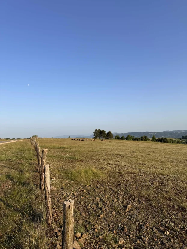 Druzetici, Gornji Milanovac, Družetići