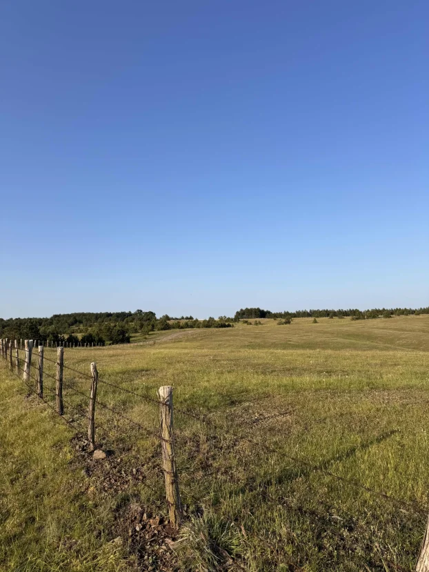 Druzetici, Gornji Milanovac, Družetići