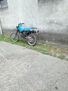 motori