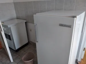 Odnosenje neispravne bele tehnike besplatno