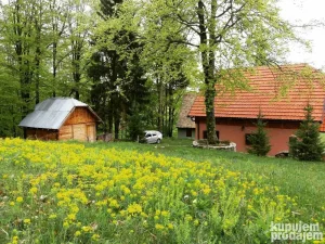 Vikendica - Tara smestaj