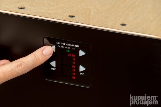 Roland EC-10 hibridni EL.CAJON