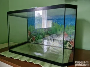 Akvarijum