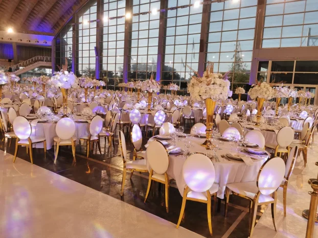 Medaljon stolice iznajm specijalne pogodnosti za dekoratere