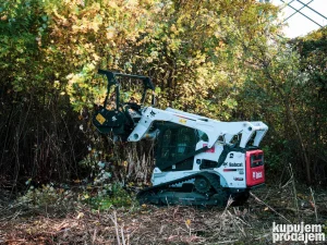 Uslužna seča rastinja