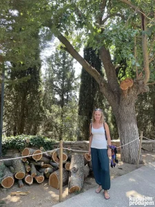 Časovi jezika za osnovce i srednjoškolce