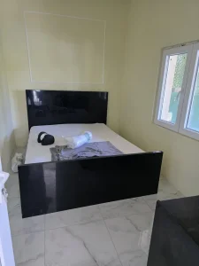 Izdajem vikendicu Dunavski dragulj