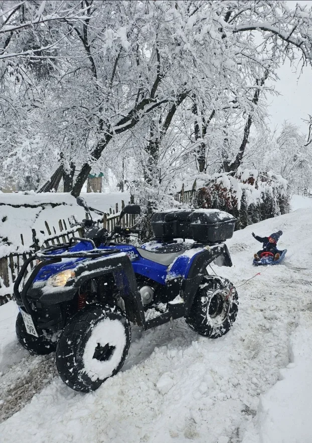 Quad Adly Canyon 320 2014