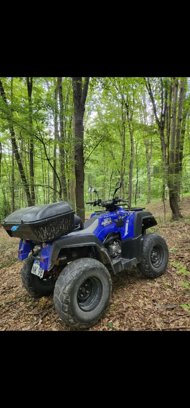 Quad Adly Canyon 320 2014