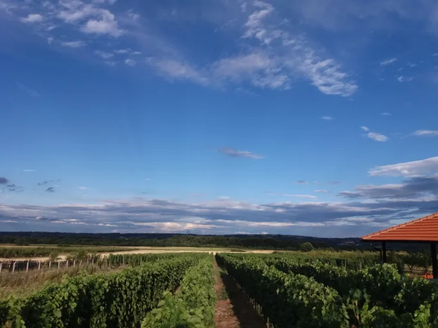 nagrađivana Vinarija na prodaju - isplativa investicija