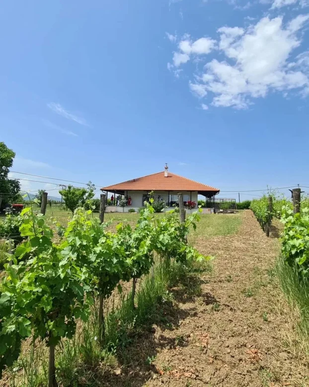 nagrađivana Vinarija na prodaju - isplativa investicija