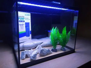 Akvarijum KOMPLET OPREMLJEN Nov