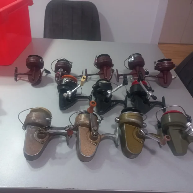 Germina nixe ,dam junor komad 700 dinara