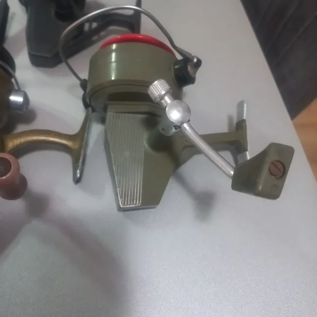 Germina nixe ,dam junor komad 700 dinara