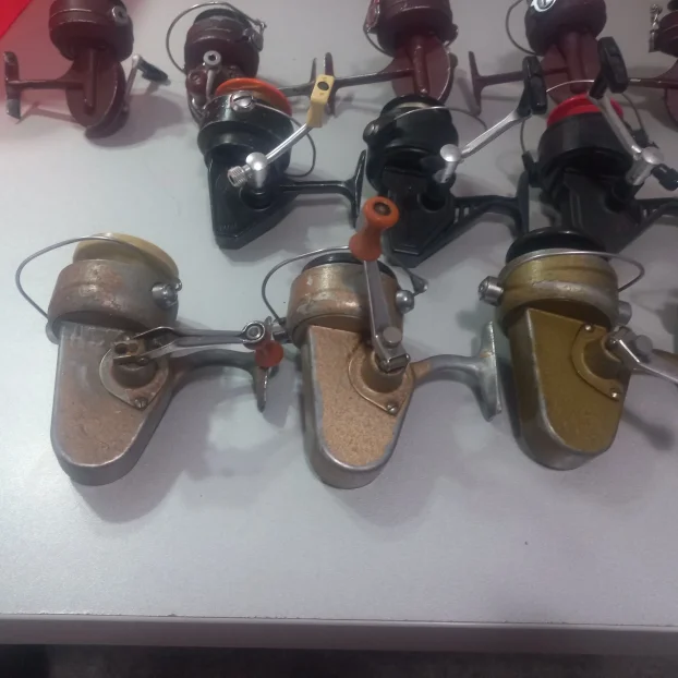 Germina nixe ,dam junor komad 700 dinara