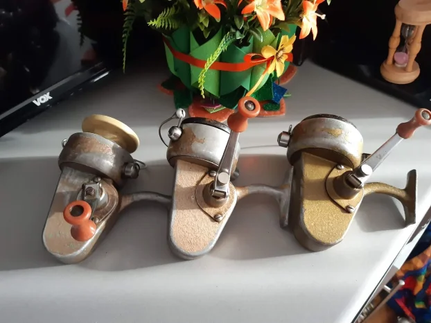 Germina nixe ,dam junor komad 700 dinara