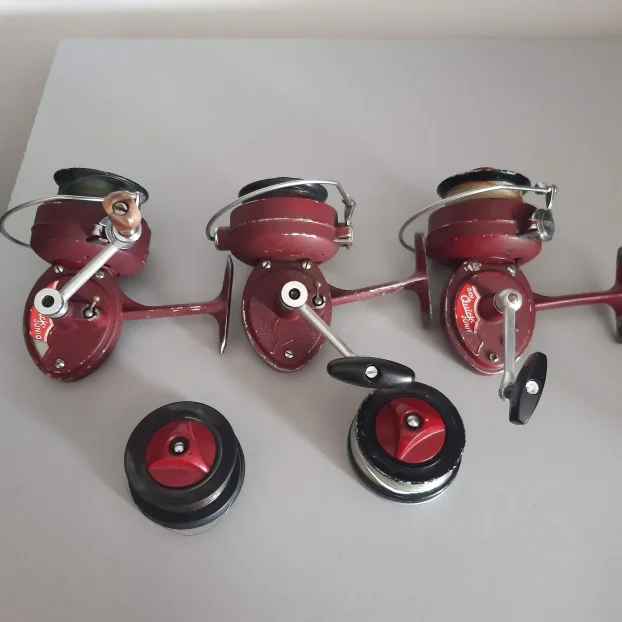 Germina nixe ,dam junor komad 700 dinara