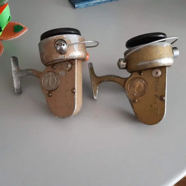 Germina nixe ,dam junor komad 700 dinara