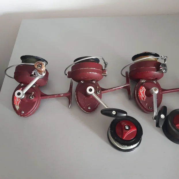 Germina nixe ,dam junor komad 700 dinara