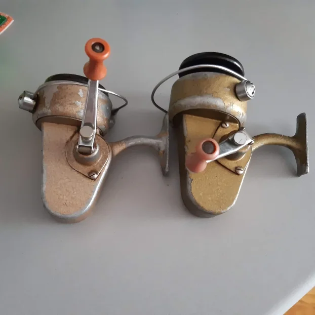 Germina nixe ,dam junor komad 700 dinara