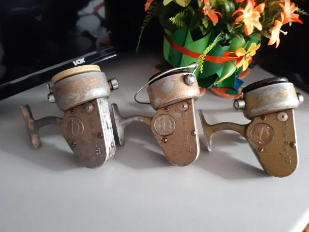 Germina nixe ,dam junor komad 700 dinara