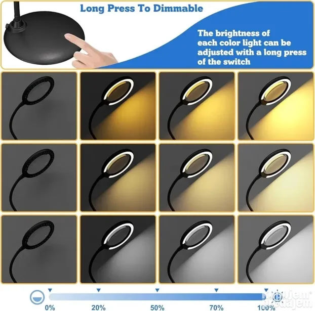 Li-on lupa sa svetlom