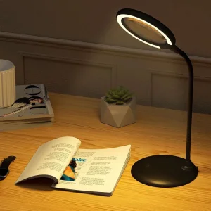 Li-on lupa sa svetlom