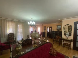 Veternik 480m2; š:545198