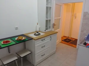 Novi Beograd, izdajem 2.0 stan, opremljen