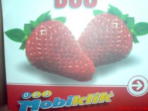 063/222-066 (posebno ili sa još jednim sličnim)