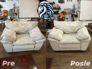 Lion Clean dubinsko čišćenje Beograd