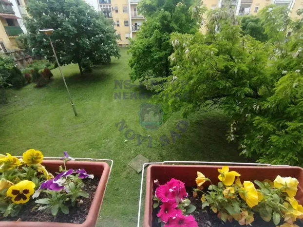 Novo Naselje, 2.0 dvosoban, 55 m²