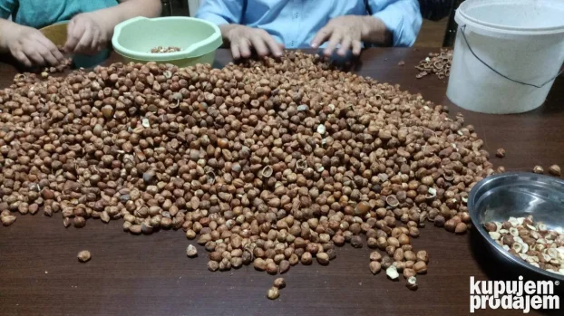 Profesionalno usluzno krckanje i prebiranje lesnika