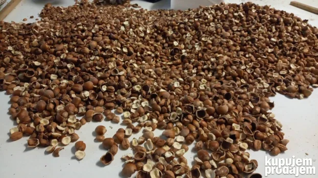 Profesionalno usluzno krckanje i prebiranje lesnika