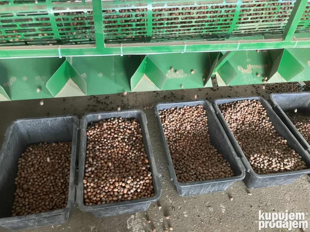 Profesionalno usluzno krckanje i prebiranje lesnika