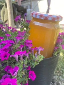MED - domaci, Fruskogorski