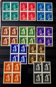 Crveni krst nezupceno mnh