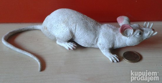 Miš beli sreću deli happy maus and white