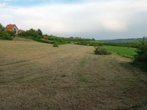 7 Jula, Mala Ivanča, 54 ar