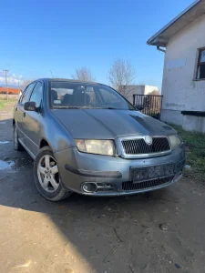 Skoda fabia klesta