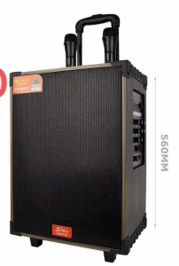 Prenosni karaoke zvucnik i pojačalo za gitaru