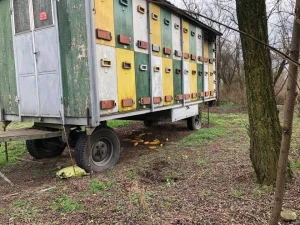 Mitrovacka pcelarska prikolica.Usluzni oglas!Procitati oglas